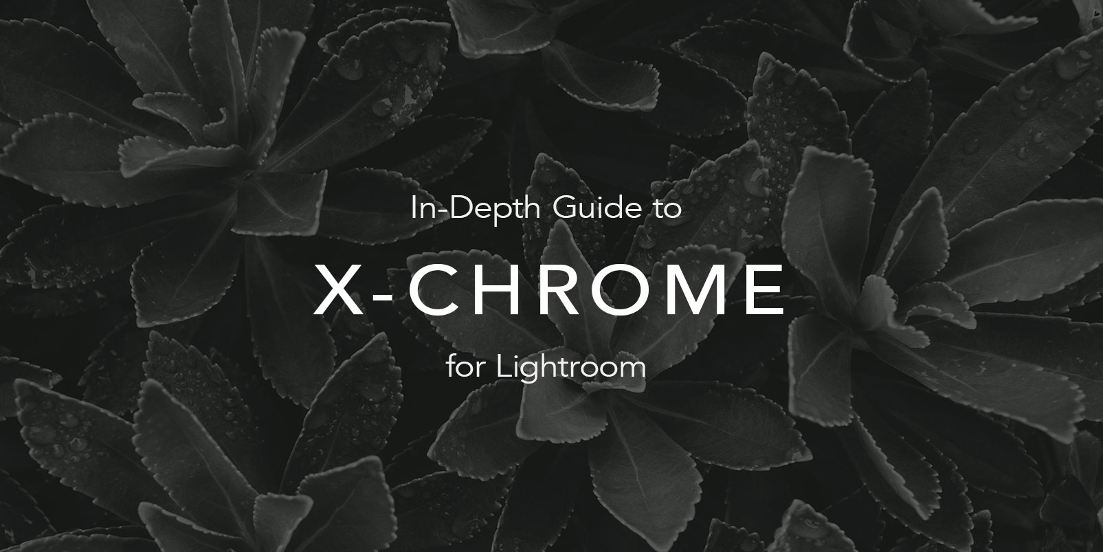 NATE K-Chrome V1.4 Lightroom